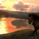 Red Dead Redemption (2010.) Marston Horse. Red Dead Wiki. 2 August 2010. Web. 15 May 2017. <reddead.wikia.com>